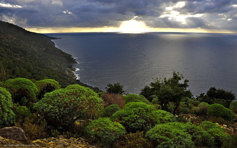 Coastal landscape at sunset