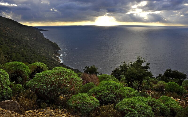 Coastal Landscape View — Green, Dramatic