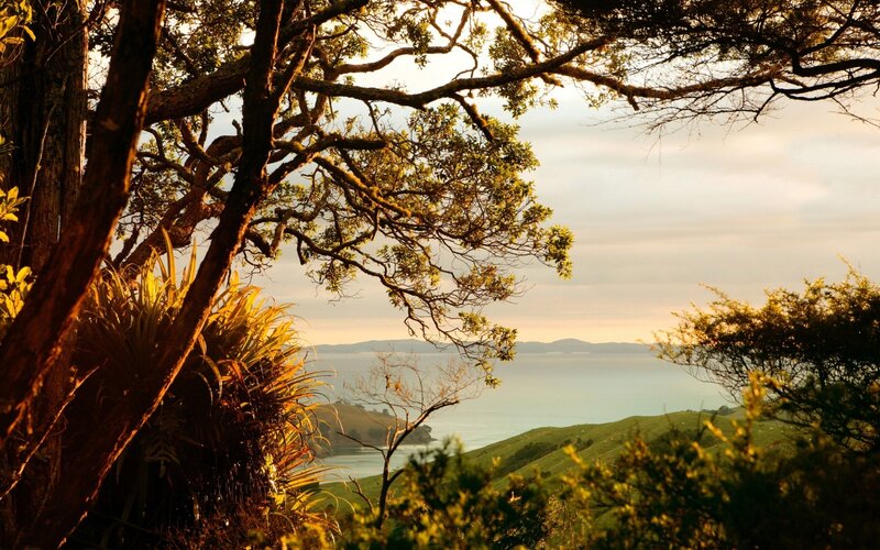 Coastal Landscape View — Green, Serene