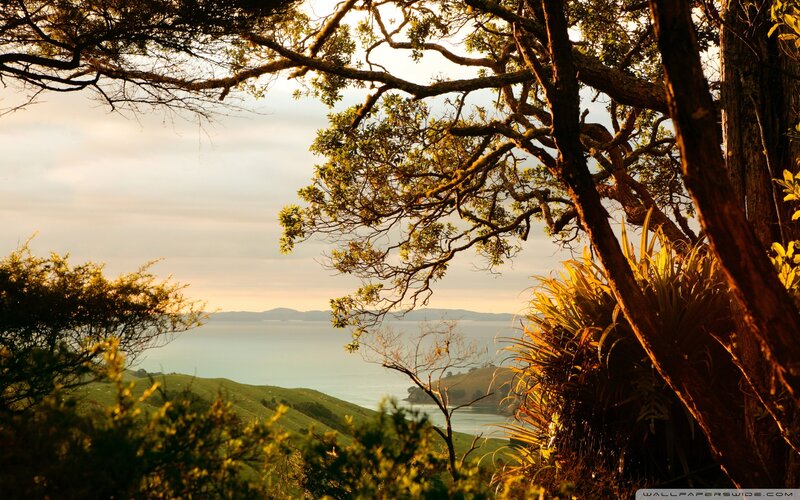 Coastal Landscape View — Green