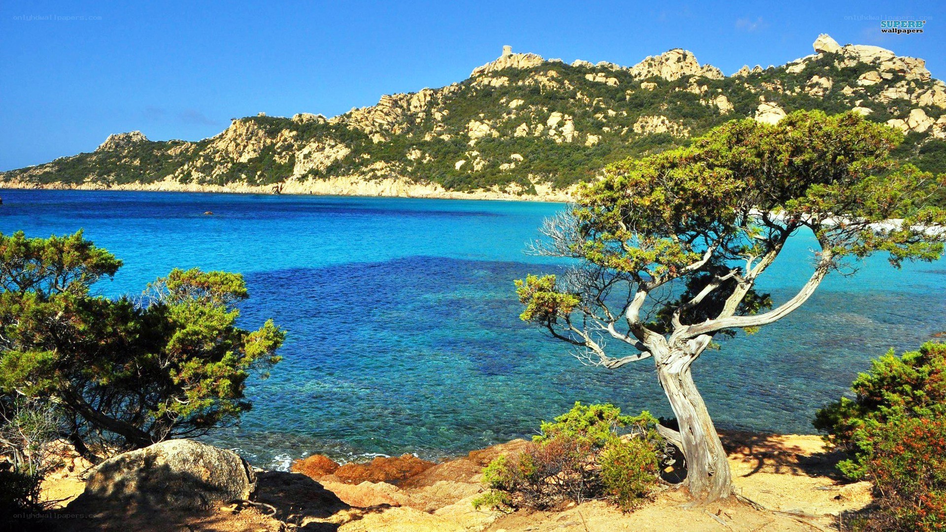 coastal landscape with clear water