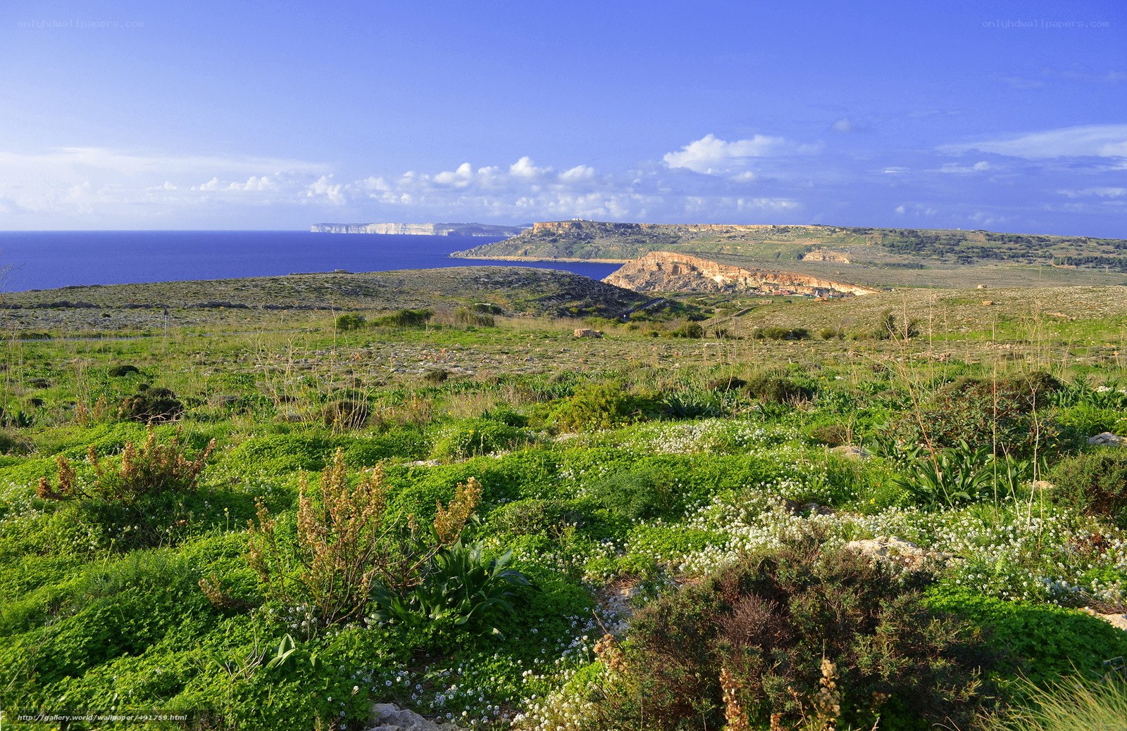 Coastal landscape with cliffs