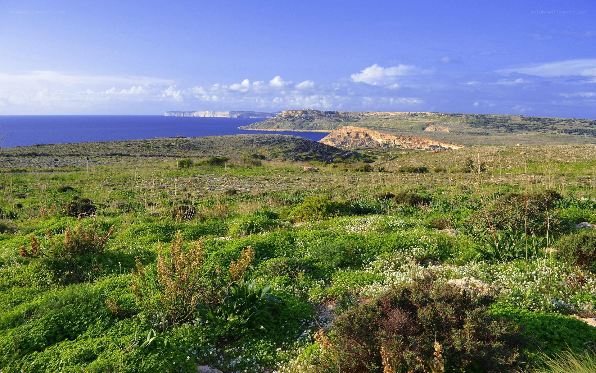 Coastal landscape with cliffs