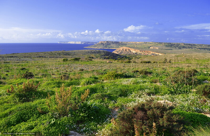 Coastal Landscape with Cliffs — Blue, Serene