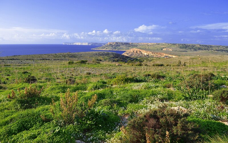 Coastal Landscape with Cliffs — Green, Serene, Afternoon, Photograph