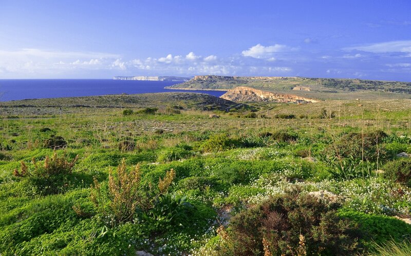 Coastal landscape with cliffs