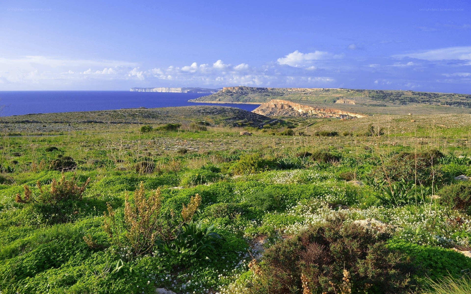 Coastal landscape with cliffs