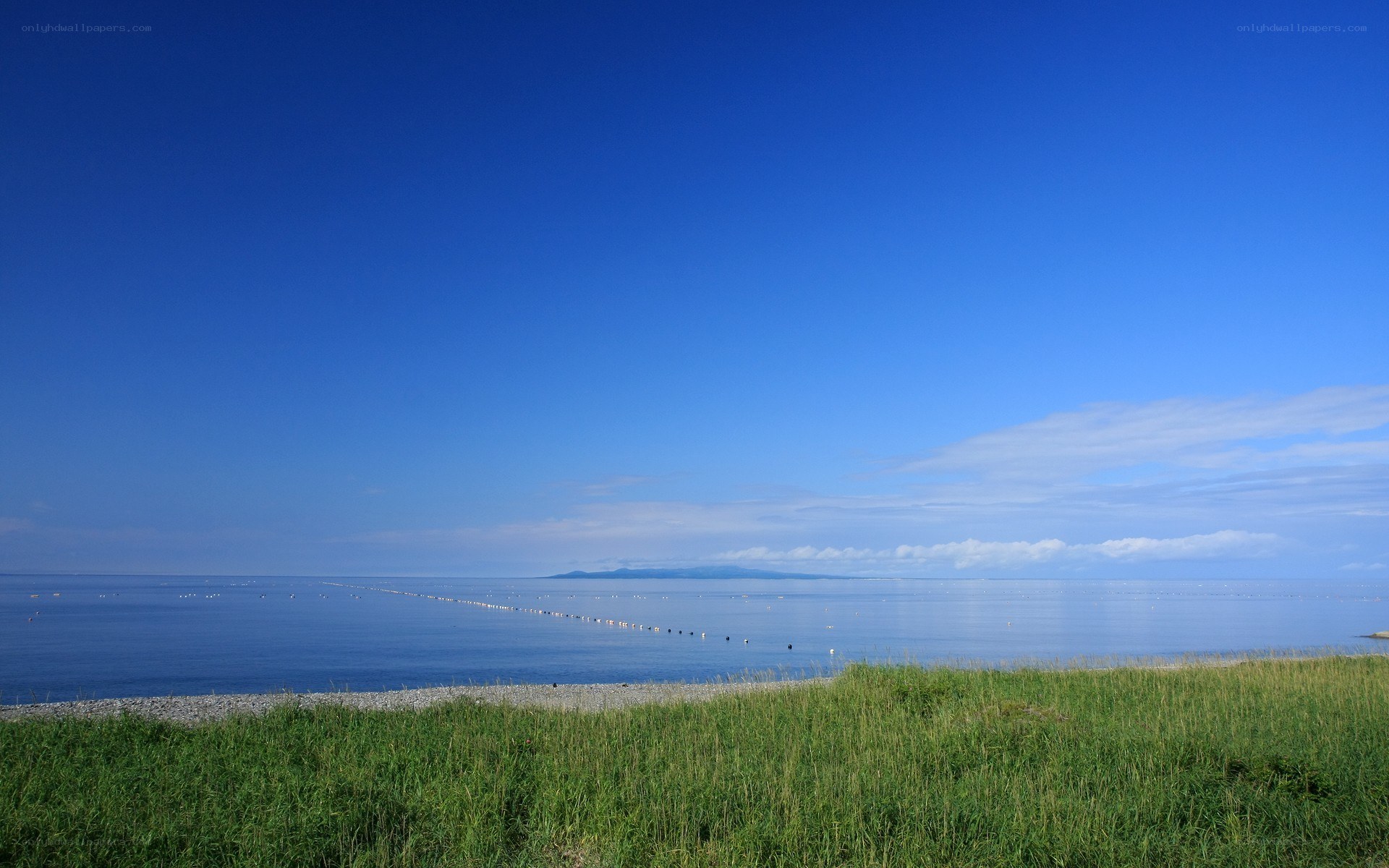 Coastal landscape with distant island