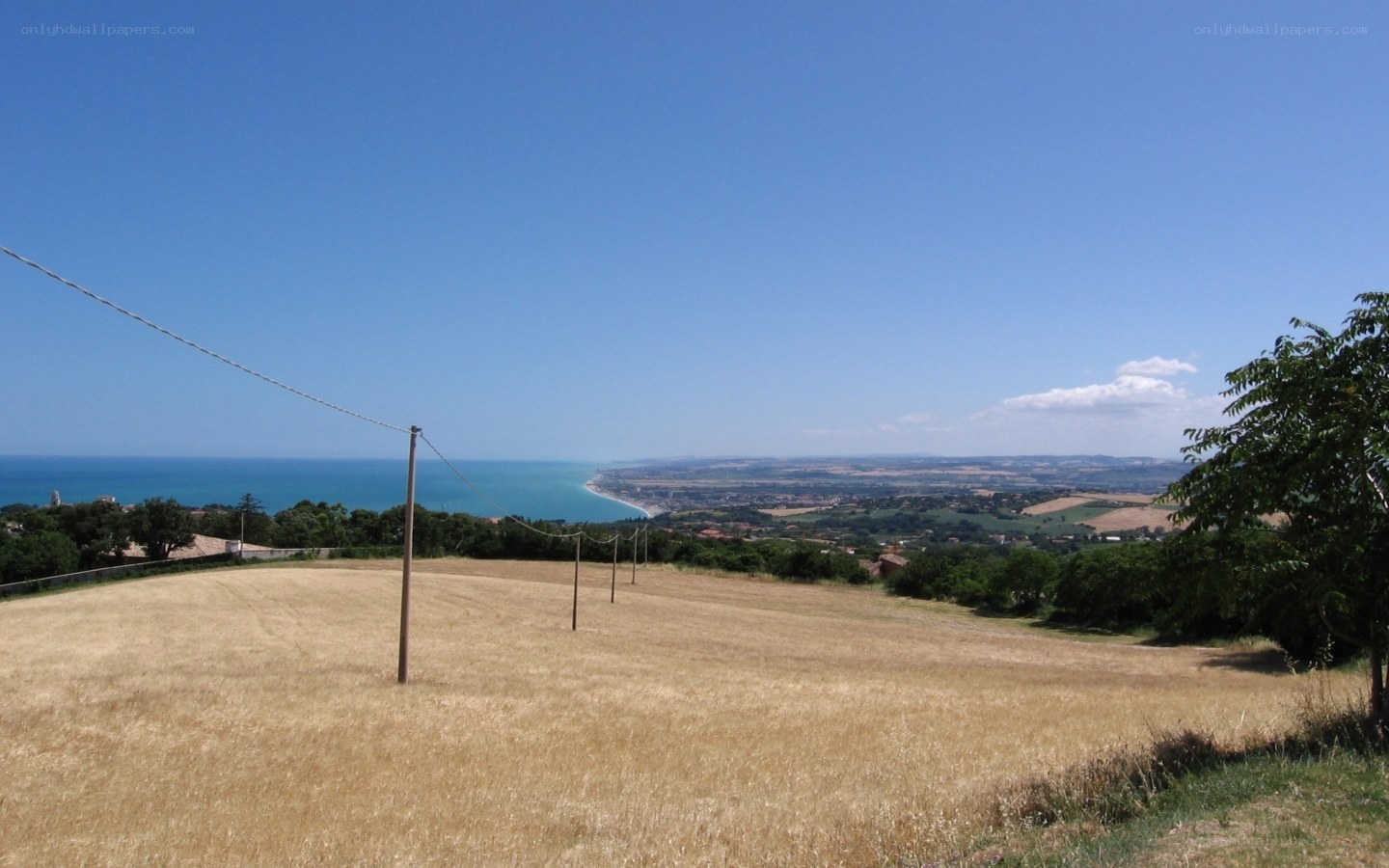Coastal landscape with dry field