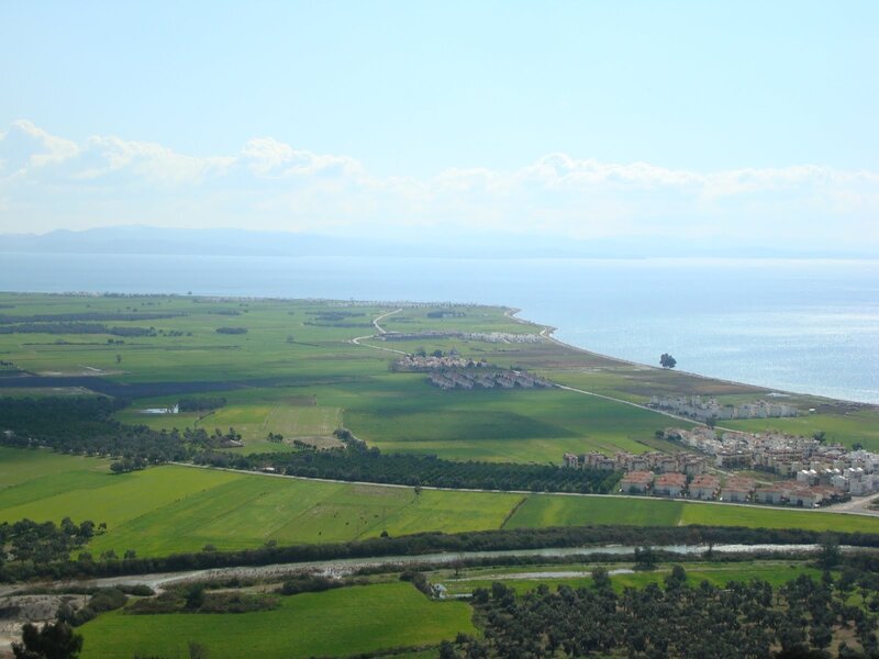 Coastal Landscape with Fields — Green