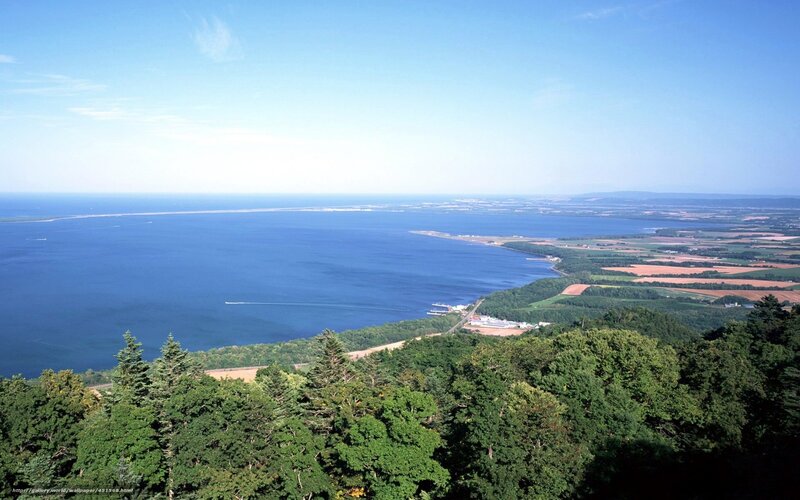Coastal landscape with forest and bay
