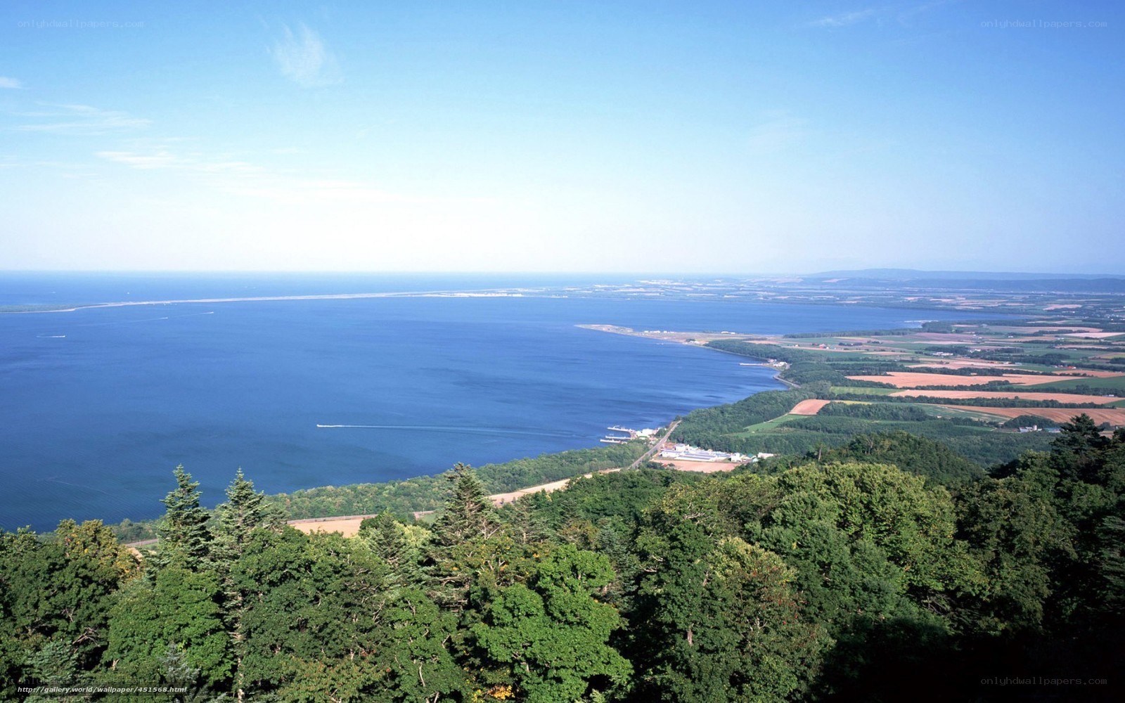 Coastal landscape with forest and bay