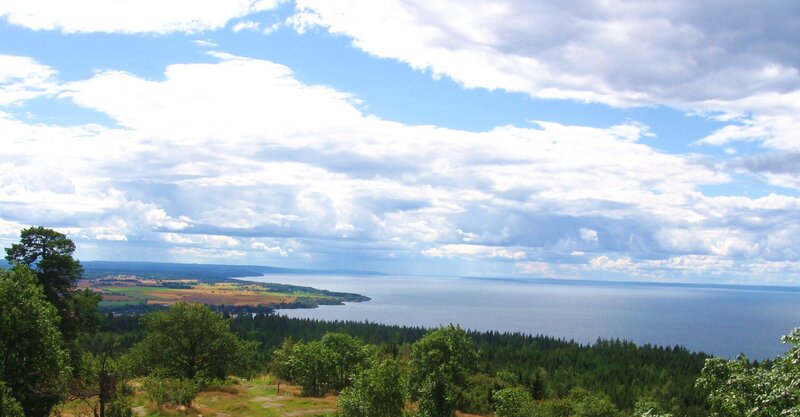 Coastal landscape with forest and sea