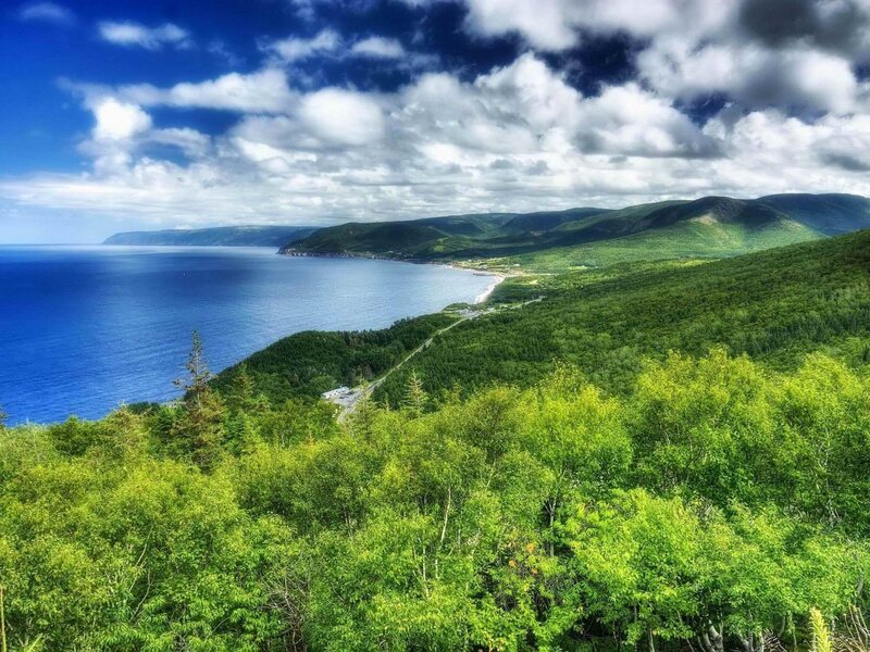 Coastal Landscape with Forest