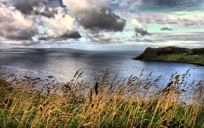 Coastal Landscape with Grass