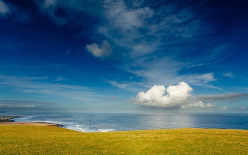 Coastal landscape with green field