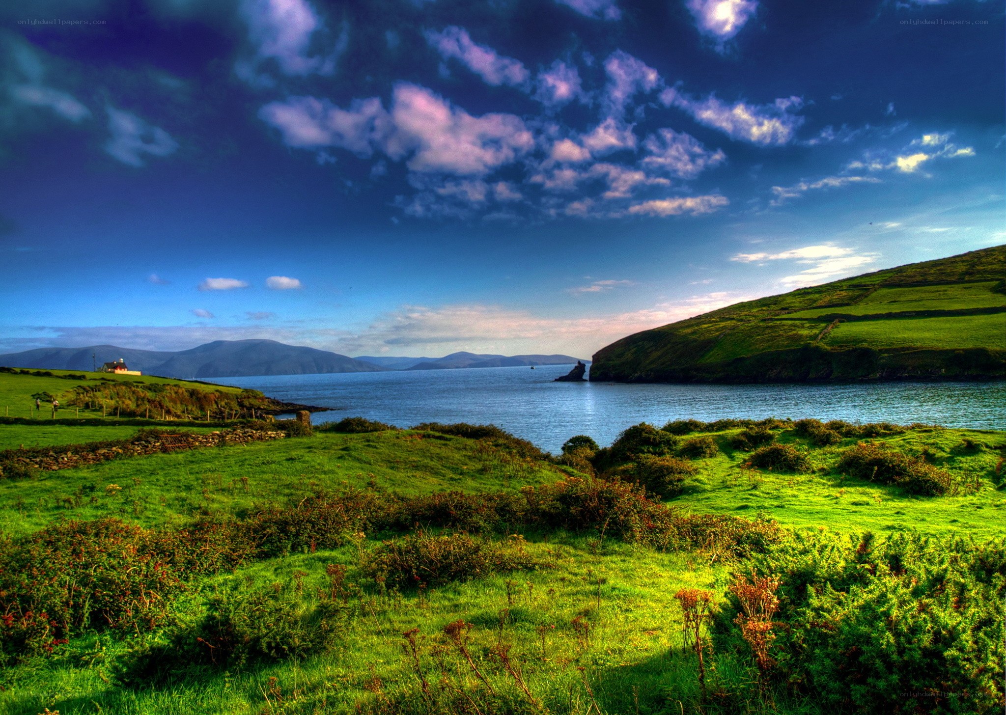 Coastal landscape with green hills