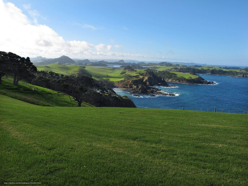 Coastal Landscape with Hills — Green