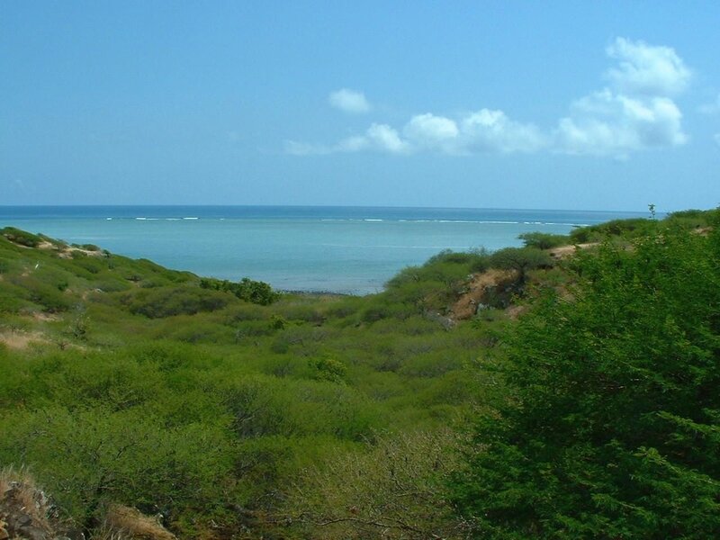Coastal Landscape with Ocean — Green