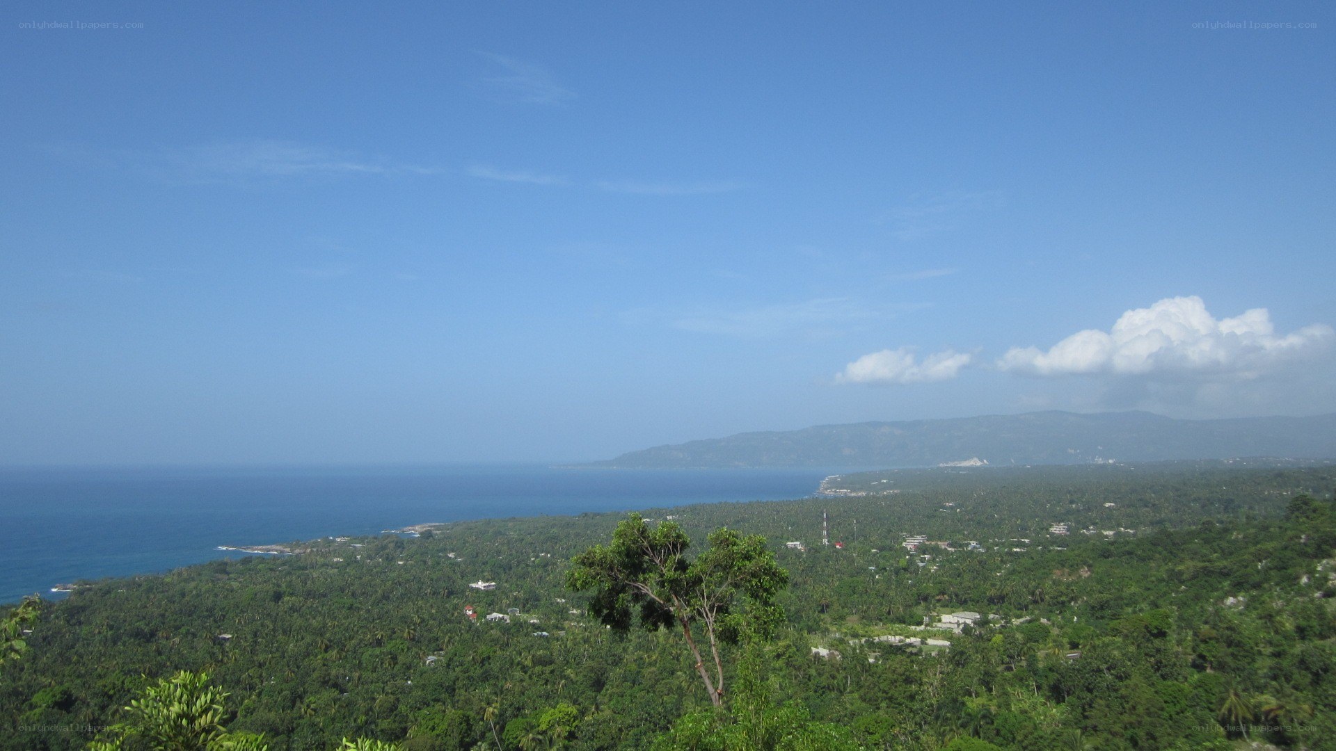 coastal landscape with ocean view