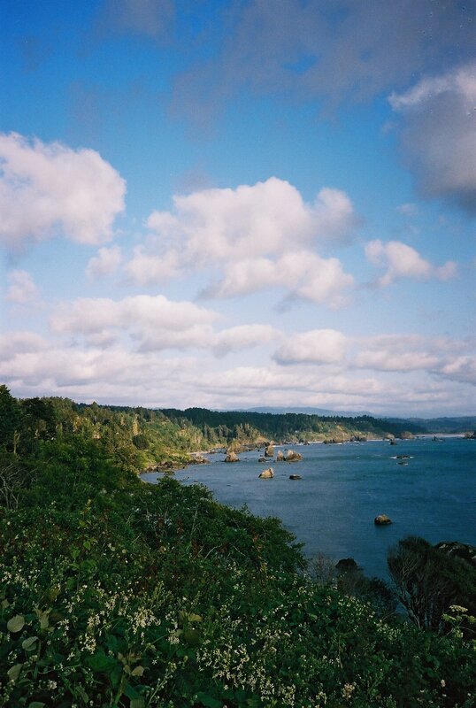 coastal landscape with rocky shore