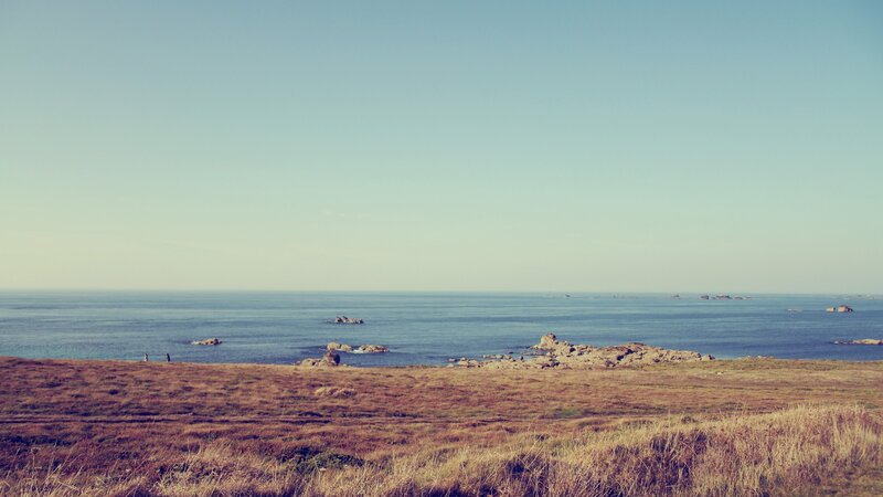 coastal landscape with rocky shore