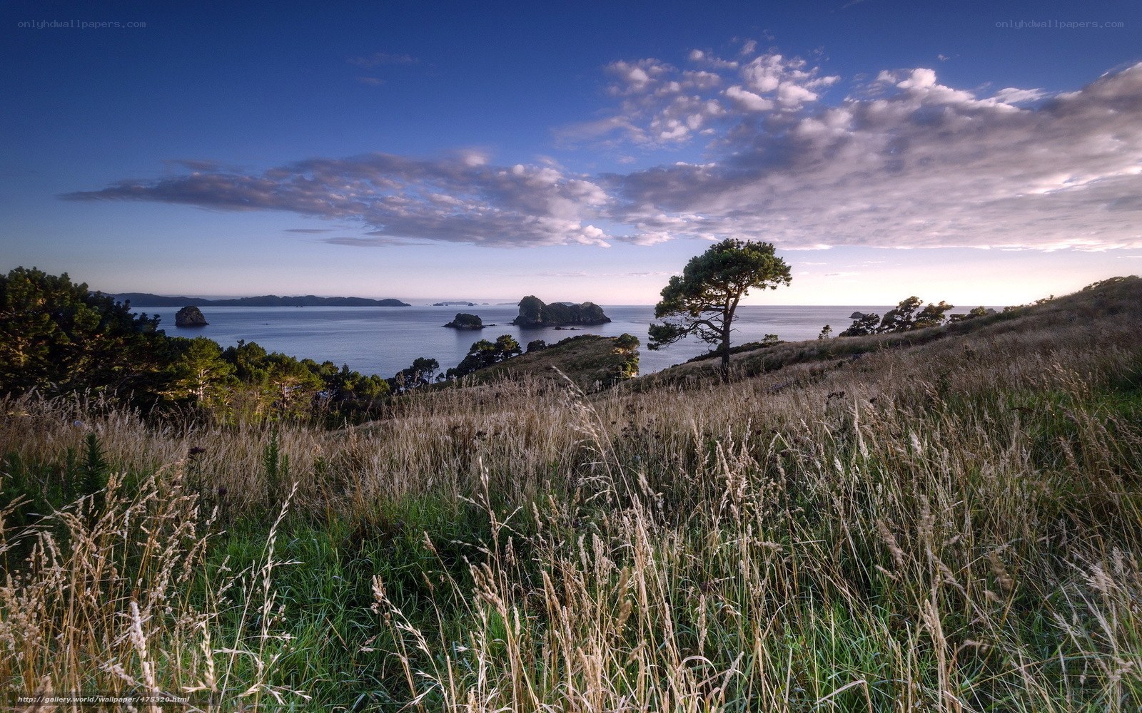 Coastal landscape with sea and islands