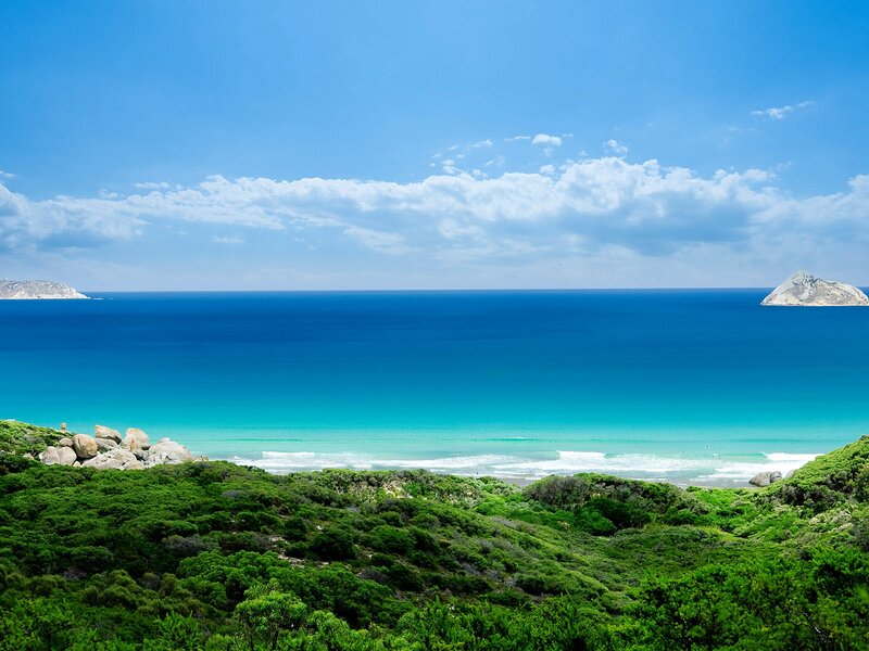 Coastal Landscape with Sea — Blue