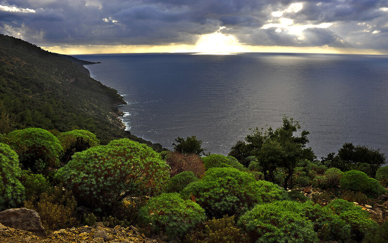 Coastal Landscape with Sea — Green