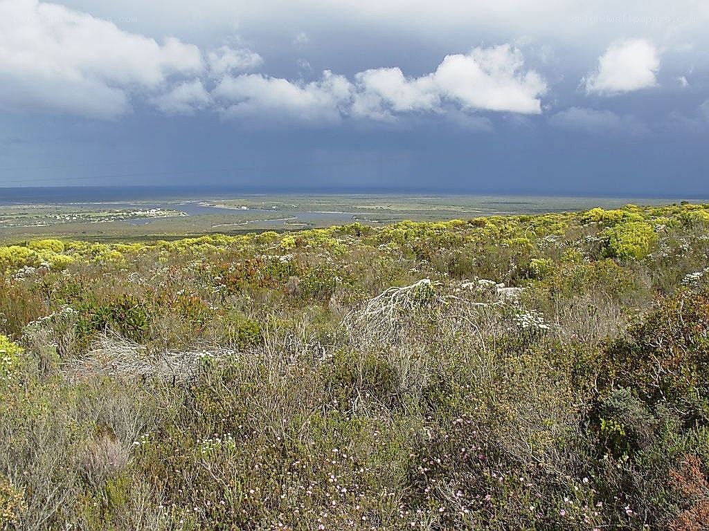 Coastal landscape with storm clouds