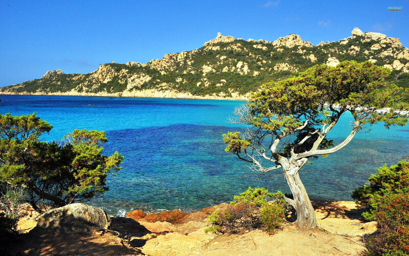 Coastal Landscape with Tree — Blue