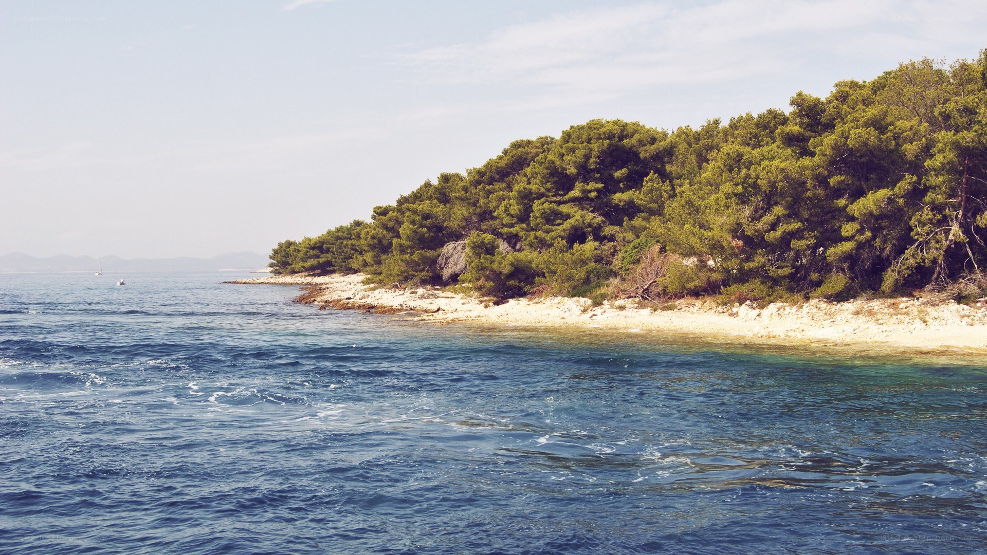 Coastal landscape with trees