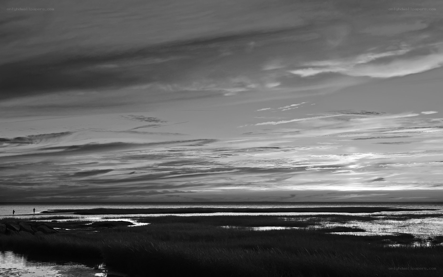 Coastal Marsh at Dusk