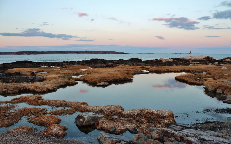 coastal marsh at dusk