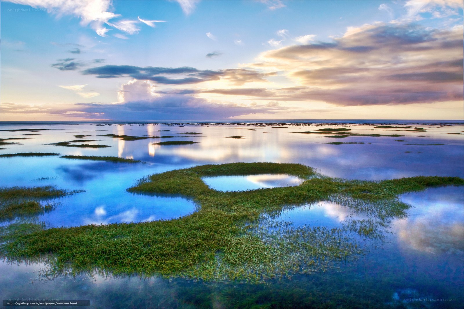 Coastal marsh at sunset
