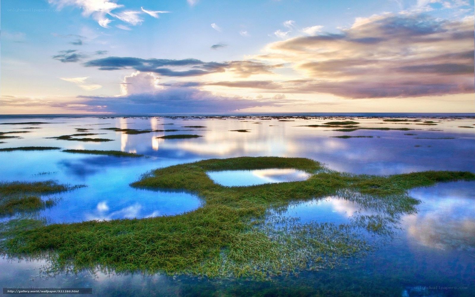 Coastal Marsh at Sunset