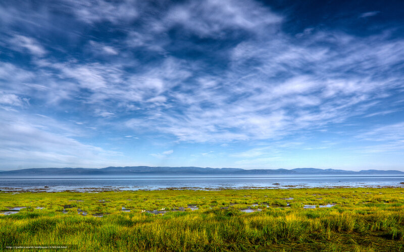 Coastal marsh under cloudy sky