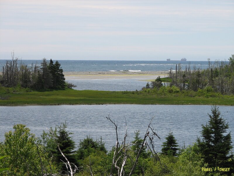 coastal marsh with distant ship