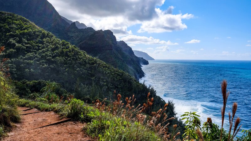 Coastal Mountain Trail