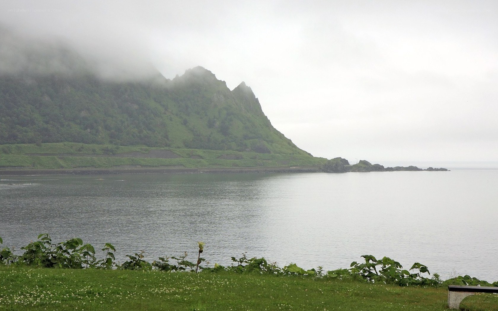 coastal mountain under fog