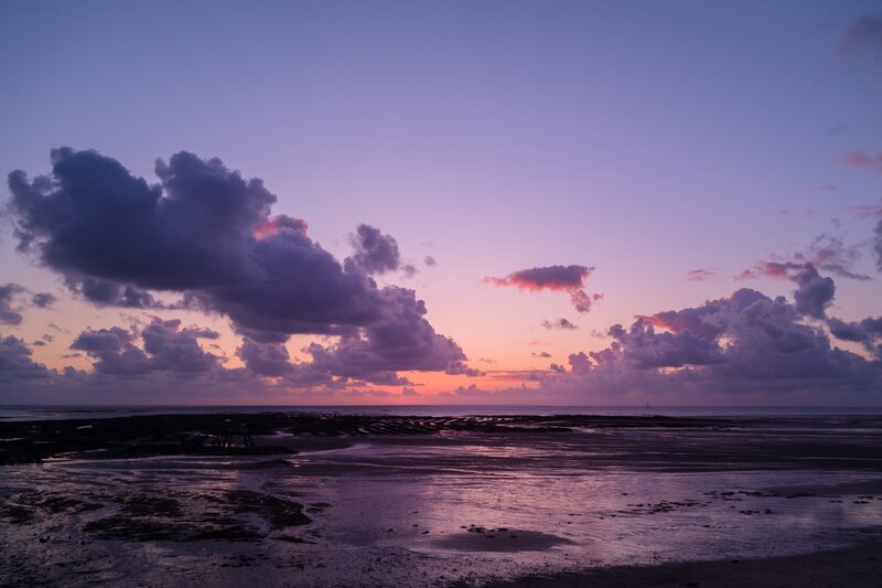 Coastal Mudflats at Dusk