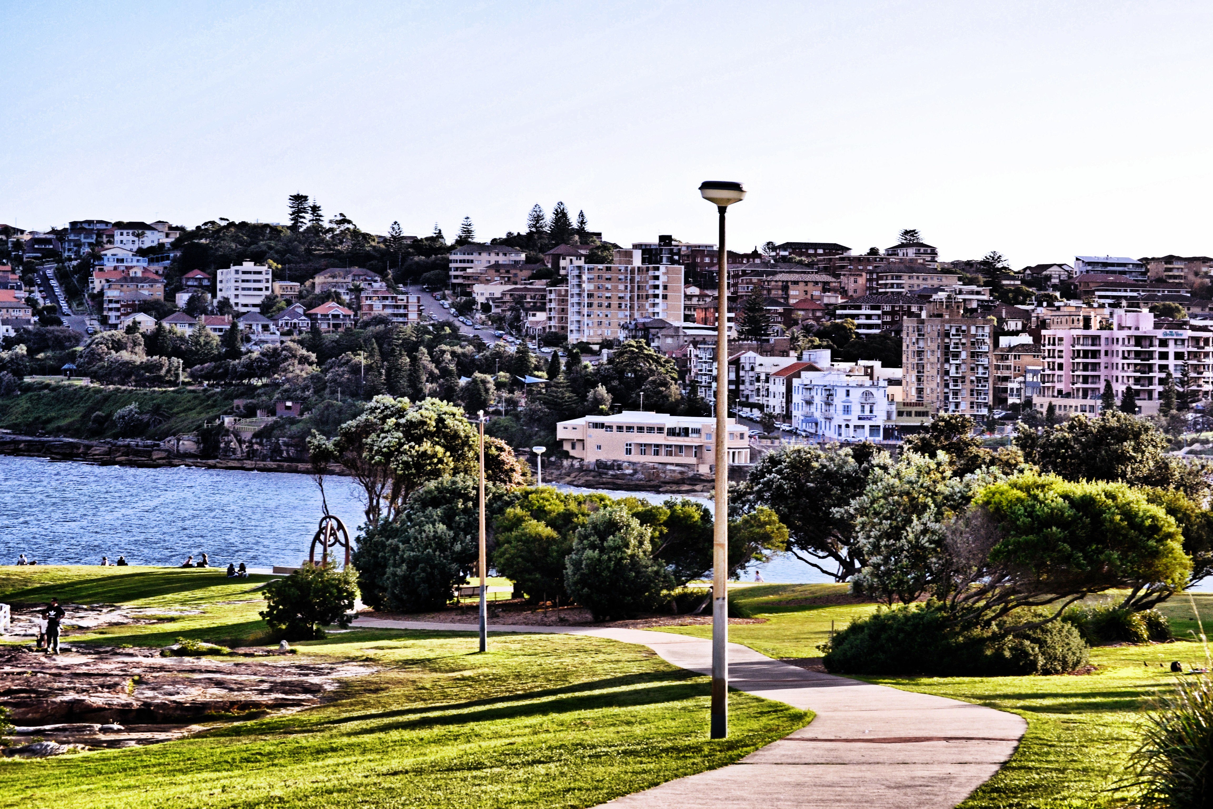 Coastal park with city view