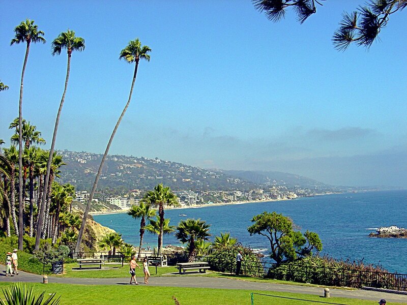 Coastal Park with Palm Trees