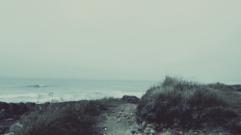 coastal path on a foggy day