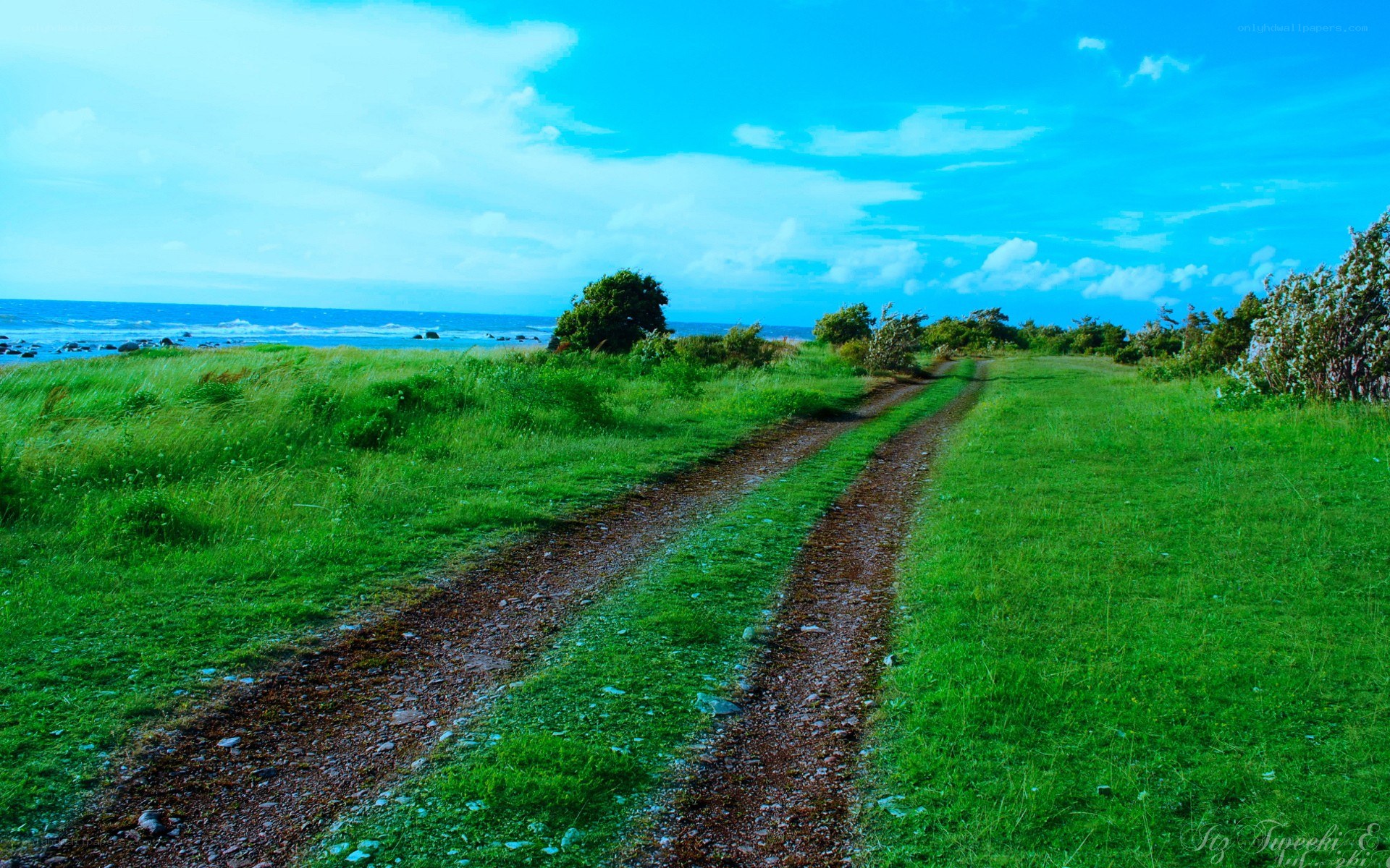 Coastal path to the sea