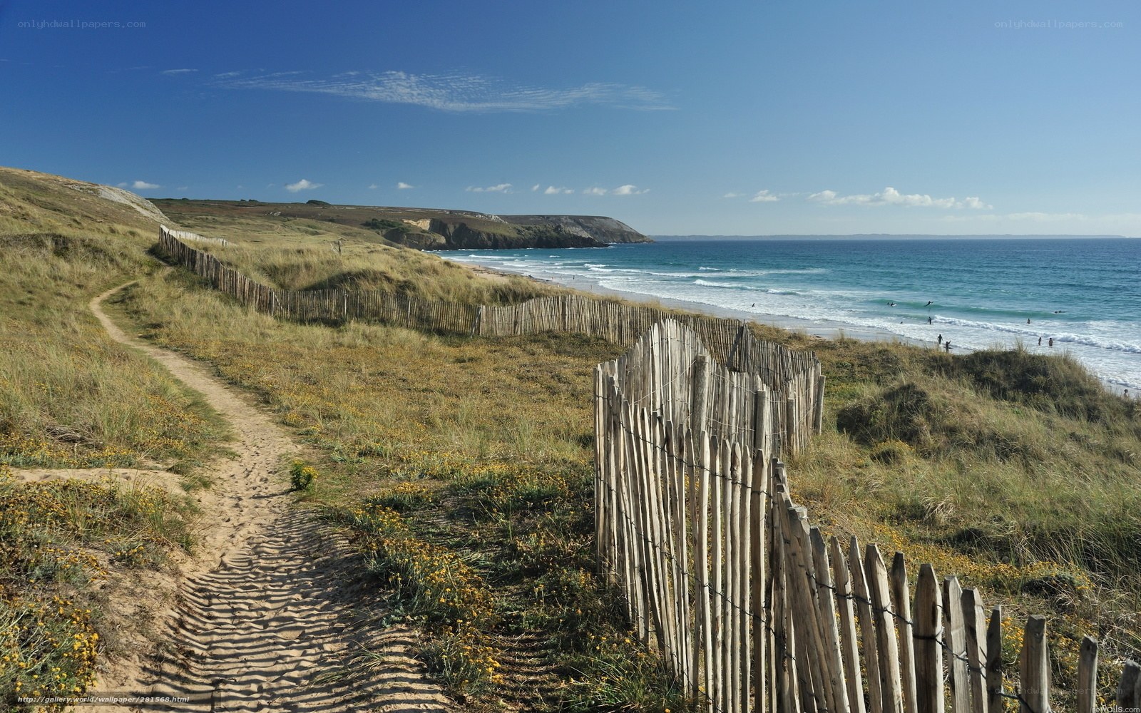 Coastal path with dunes and ocean