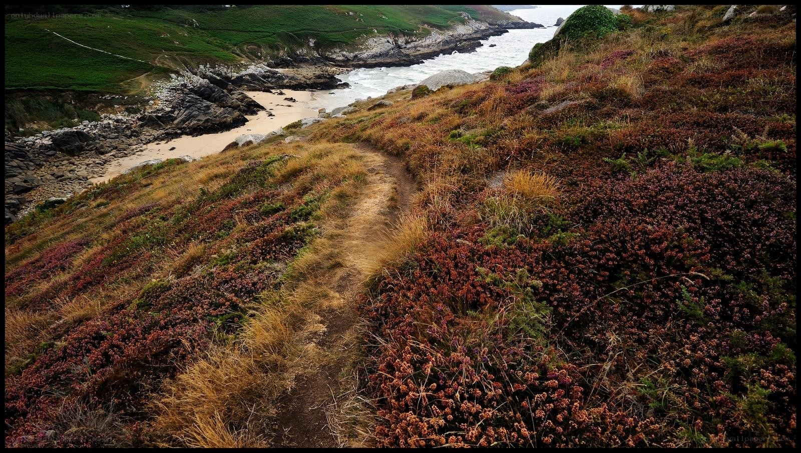 coastal path with heather