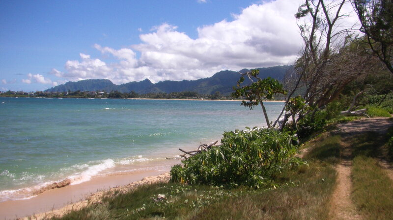 Coastal Path with Ocean — Blue, Serene