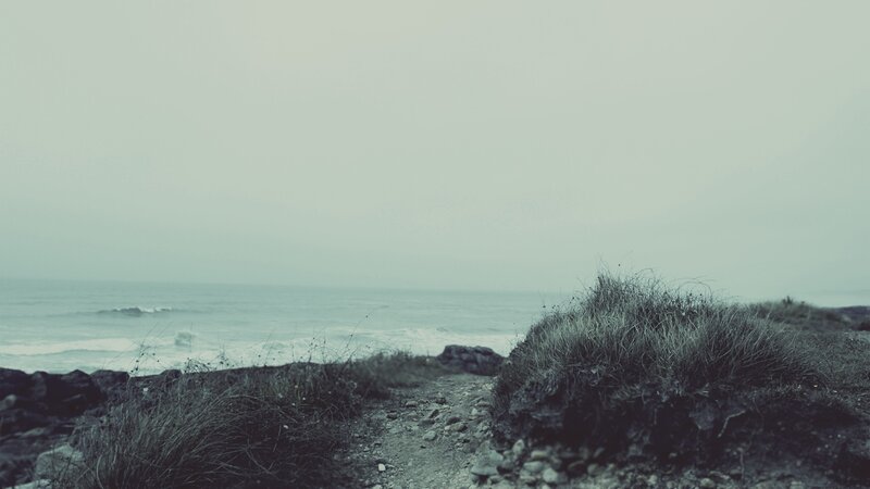 Coastal Path with Ocean — Gray