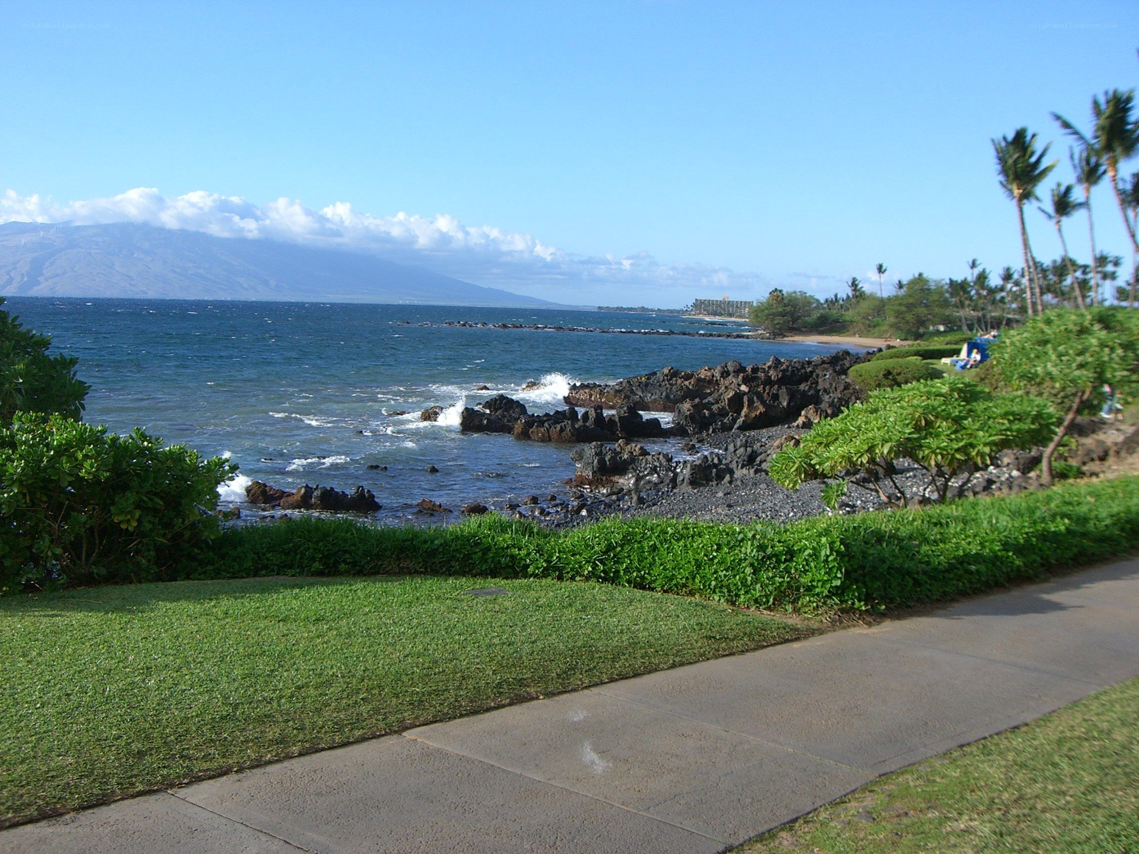 Coastal path with ocean view